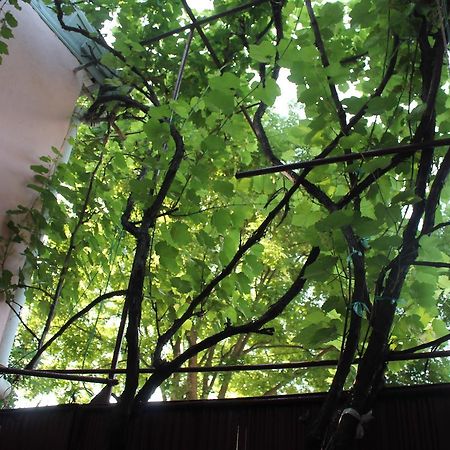 Hostel Old City Sololaki Tbilisi Exteriér fotografie